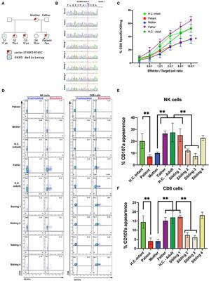 STXBP2-R190C Variant in a Patient With Neonatal Hemophagocytic Lymphohistiocytosis (HLH) and G6PD Deficiency Reveals a Critical Role of STXBP2 Domain 2 on Granule Exocytosis